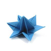 
<span>desert flower</span>
