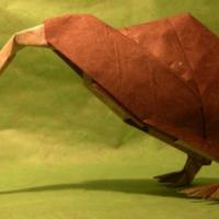 
<span>Kiwi</span>
