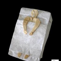 
<span>The patient</span>
