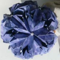 
<span>Chrysanthemum Ball</span>
