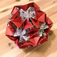 
<span>Butterfly Ball</span>
