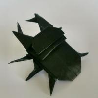 
<span>Dorcus Curvidens</span>
