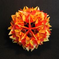 
<span>Carnation</span>
