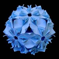 
<span>Camellia Variation</span>
