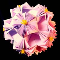 
<span>Dahlia Variation</span>
