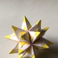 
<span>Stellated icosahedron</span>
