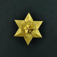
<span>Flower B-a</span>
