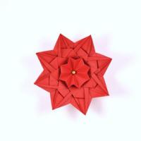 
<span>Flower</span>
