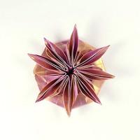 
<span>Flower</span>

