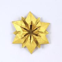 
<span>Flower C</span>
