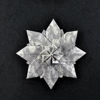 
<span>Flower a</span>
