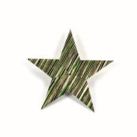 
<span>Star 1-A</span>
