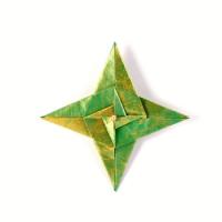 
<span>Star</span>
