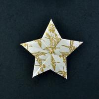 
<span>Star A</span>
