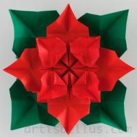 
<span>Poinsettia</span>
