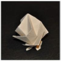 
<span>Step Star Dome (4 & 5 Fold)</span>
