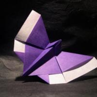 
<span>Butterfly 3</span>
