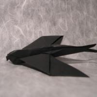 
<span>Swallow</span>

