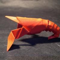 
<span>Shrimp</span>

