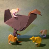 
<span>Hen</span>
