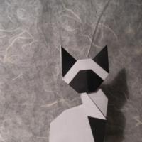 
<span>Siamese cat</span>
