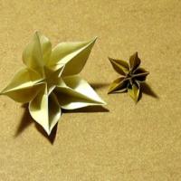 
<span>Carambola (video)</span>
