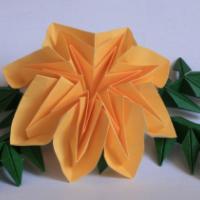 
<span>marigold</span>

