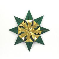 
<span>Snow Flake v. 1</span>
