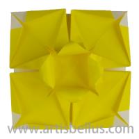 
<span>Daffodil</span>

