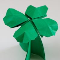 
<span>Clover</span>
