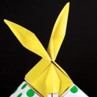 
<span>Bunny box</span>
