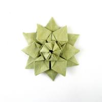 
<span>Flower</span>
