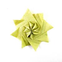 
<span>Flower b</span>
