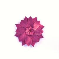 
<span>Flower A</span>
