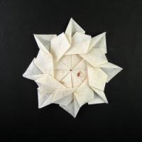 
<span>Flower A</span>
