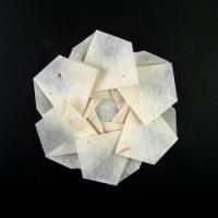 
<span>Flower A</span>
