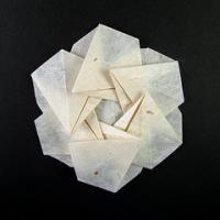 
<span>Flower B</span>
