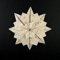 
<span>Flower</span>
