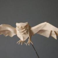 
<span>Owl</span>
