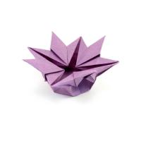 
<span>Star Flower Box</span>

