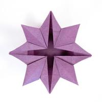 
<span>Star Flower</span>

