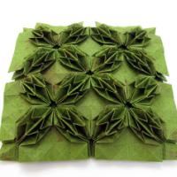 
<span>Pineapple Tessellation</span>
