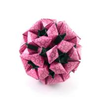 
<span>Raspberry</span>
