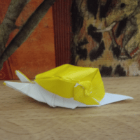 
<span>Snail</span>
