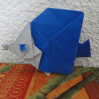 
<span>Butterfly Fish</span>
