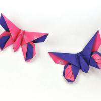 
<span>Anne LaVin Butterfly</span>
