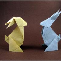 
<span>Rabbit</span>
