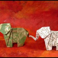 
<span>Elephant</span>
