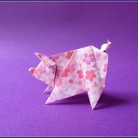 
<span>Scolli Pig</span>
