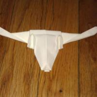 
<span>Longhorn Cow Skull</span>
